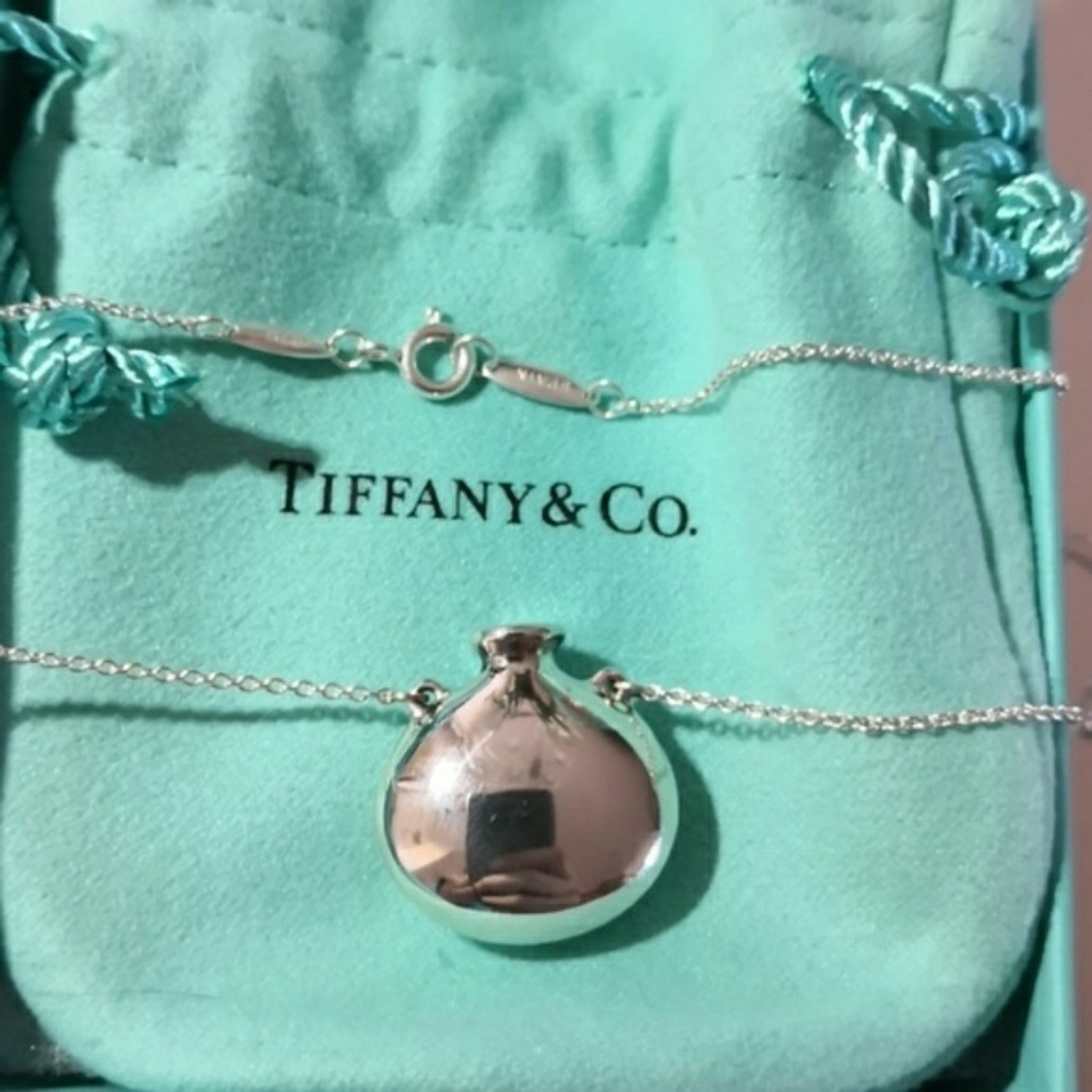 Tiffany and co Bottle necklace!